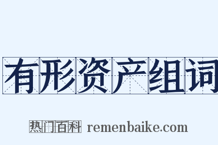 有形资产组词是什么意思的图片